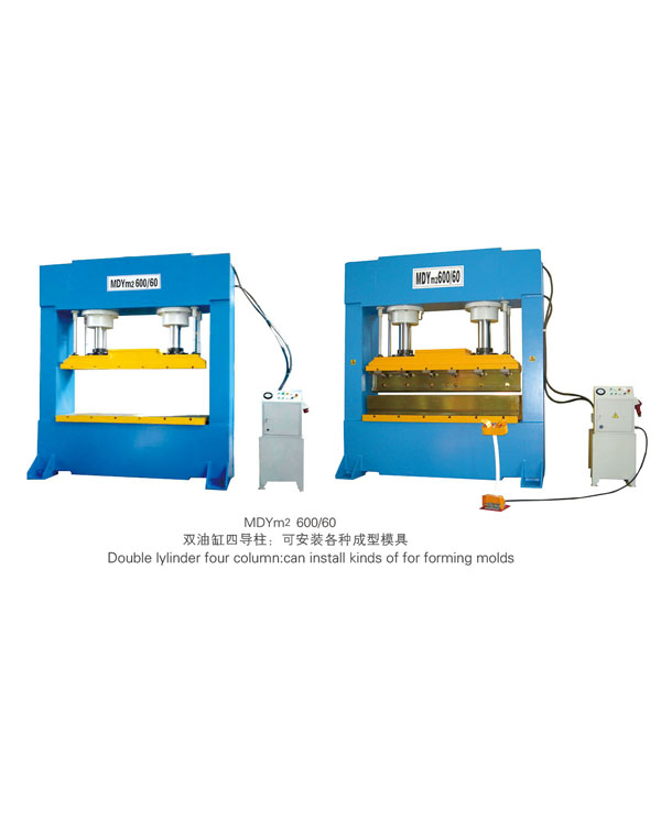 MDYm2 600-60-揚(yáng)州市天宇機(jī)電設(shè)備有限公司